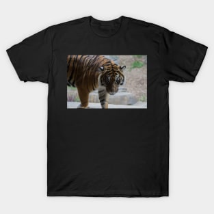 Got My Eyes On You T-Shirt